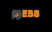 EBS (ТОВ «Emergex Business Solutions»)